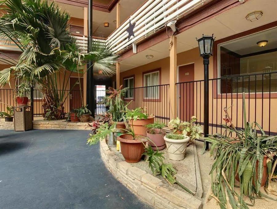 Budget Host Inn Arlington Zewnętrze zdjęcie